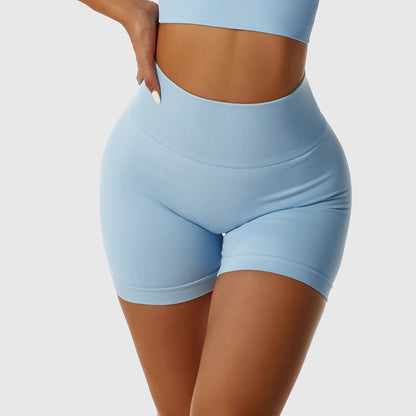 SEAMLESS HIGH STRETCH HIGH WAIST SHORTS